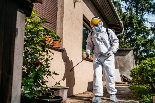 Best Pest Inspection Near Me  in Le Roy, IL