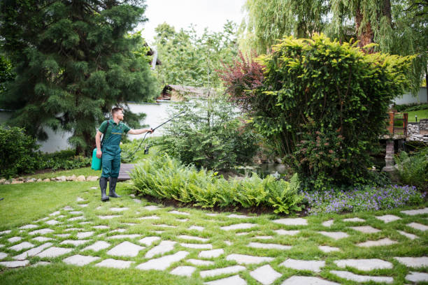 Best Ant Control Services  in Le Roy, IL