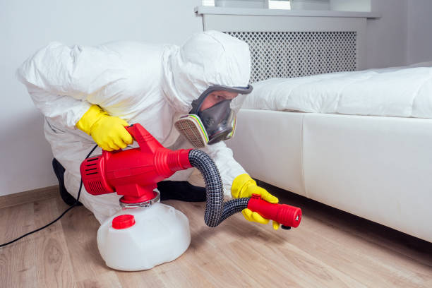 Best Pest Control Treatment  in Le Roy, IL