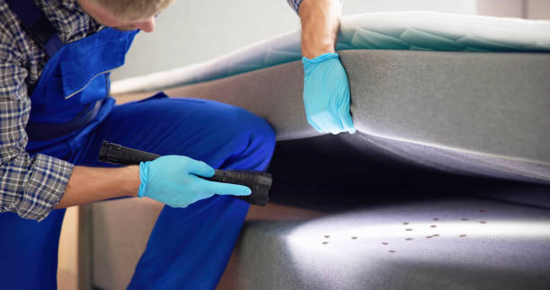 Reliable Le Roy, IL Pest Control Solutions